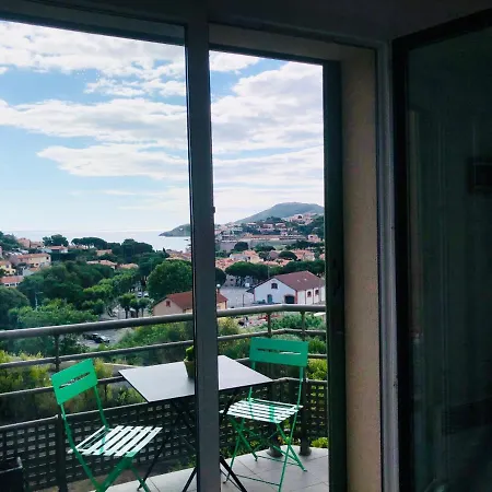 Apartment Sous Le Soleil Vue Mer, Parking Inclus , Clim ,wifi Collioure