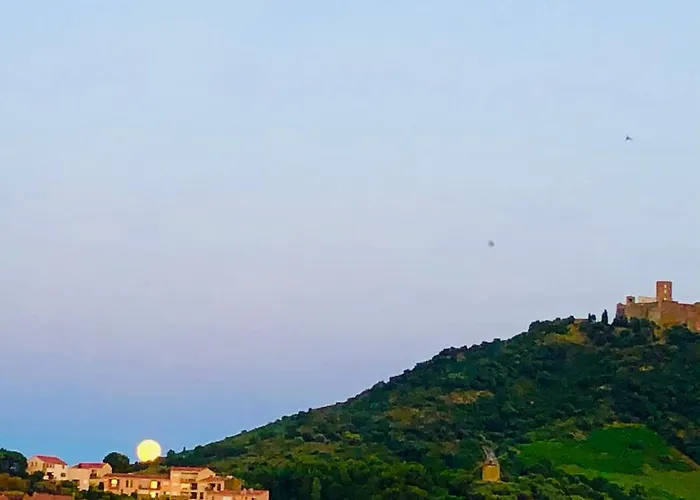 Sous Le Soleil Vue Mer, Parking Inclus , Clim ,wifi Collioure