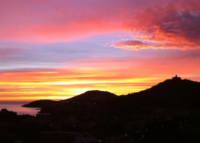 Sous Le Soleil Vue Mer, Parking Inclus , Clim ,wifi Collioure
